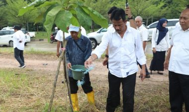Kepala BP Batam Tinjau Pertumbuhan Pohon Kayu Jati Emas