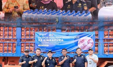 Ekspor Perdana 23.000 Ekor Ayam Hidup (Live Birds) dari Tanjungpinang ke Singapura