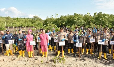 Kapolresta Barelang Mengikuti Penanaman 500 Pohon Mangrove di Pulau Setokok Secara Serentak Di Wilayah Polda Kepri