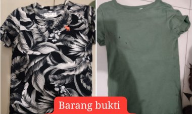 Polsek Bengkong Ungkap Kasus Perbuatan Cabul Anak di Bawah Umur, Pria 30 Tahun Ditangkap