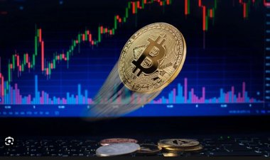 Bitcoin Pekan ini Mencapai Rekor tertinggi tahun 2023, Apa yang terjadi?