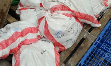 Penyalahgunaan Aturan Pengiriman Barang Terbongkar di Karimun: PT. Pulau Mas Moro Mulia Diduga Langgar Regulasi BPOM