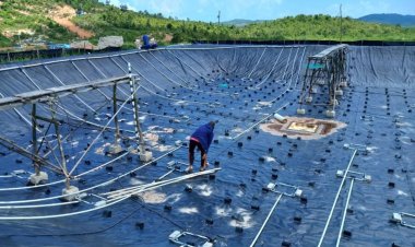 MASYARAKAT PULAU REMPANG SUKARELA DUKUNG PROGRAM ECO CITY: PEMBONGKARAN LAHAN DILAKUKAN TANPA PAKSAAN