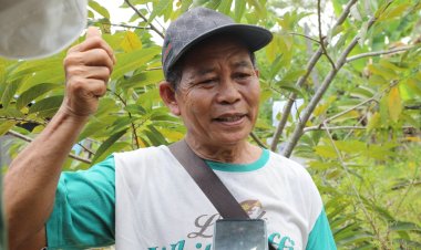 Rempang Eco-City Bakal Jadi Momentum Kebangkitan Ekonomi