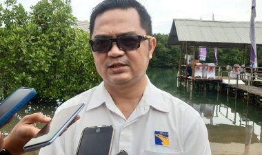 Kehadiran KEK NDP Tingkatkan Nilai Investasi dan Pertumbuhan Ekonomi Batam