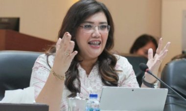 Progres Pengembangan Rempang Eco-City