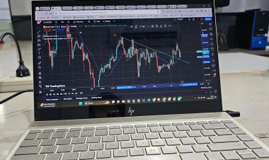 Menggali Keuntungan dalam Trading Forex