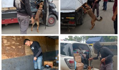 6 Anjing K9 Bantu Lacak Peredaran Narkoba di Pelabuhan Bakauheni, Ini Hasilnya