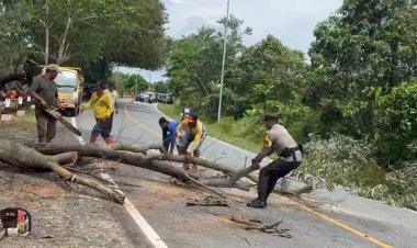 Cekatan, Bhabinkamtibmas Desa Busung Polsek Bintan Utara, Potong Pohon Tumbang Yang Menghalangi Arus Lalulintas Jalan Raya