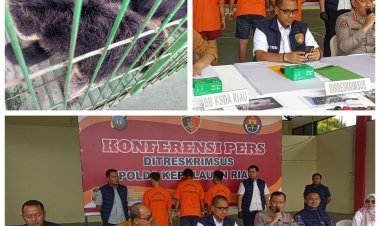 Polisi Sita Dua Binturong dari Warga Batam
