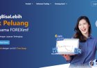 Foreximf: Broker Forex Resmi di Indonesia