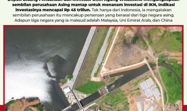 Asing Siap Investasi Rp 45 Triliun di IKN Nusantara