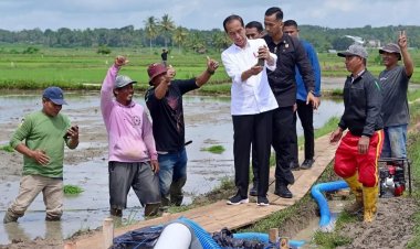 Presiden Joko Widodo Meninjau Bantuan Pompa Irigasi di Kabupaten Bone