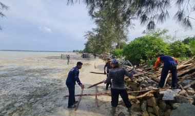 Membangun Benteng Hijau: 50.000 Bibit Mangrove Siap Huni Pantai Lanud RSA