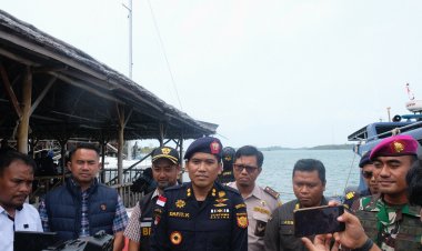 Bea Cukai gagalkan upaya penyelundupan benih lobster di kawasan perairan Pulau
