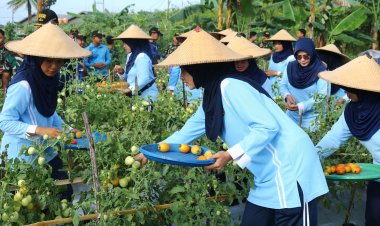 Lanud Raden Sadjad Natuna Panen Hasil Kebun, Dukung Program Ketahanan Pangan Nasional