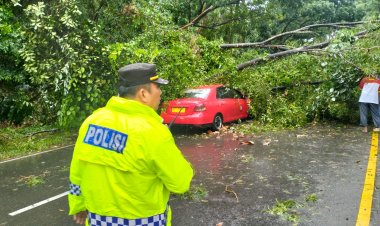 Aksi Cepat Polsek Sekupang Bersama Warga Pulihkan Akses Jalan dari Pohon Tumbang