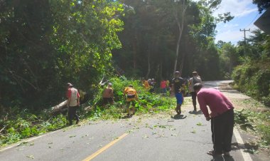 Brigadir Hendri Eko Susanto Polisi yang Peduli Keselamatan bersama warga Tebang  Pohon yang sudah Tua dan Lapuk disepanjang Jalan Desa Kote