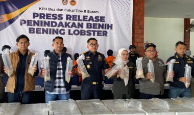 Bea Cukai Batam Lagi-lagi Gagalkan Penyelundupan Benih Lobster: Ekosistem Laut dan 26,9 Miliar Kerugian Negara Terselamatkan