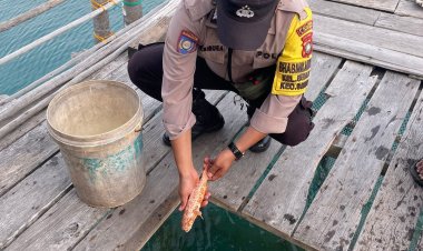 Brigadir Masri Anton Sibuea Dorong Desa Binaan untuk jadi Desa Mandiri Berketahanan Perikanan
