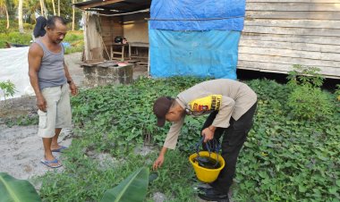 Briptu Yoan Afdinal Semai Pupuk dan Penyiraman  Ubi Jalar