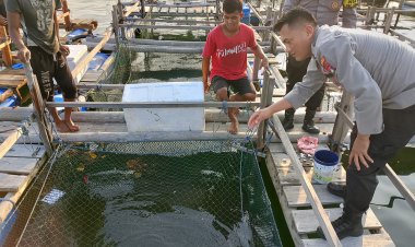 Kolaborasi Bripka Niko dan Briptu Paradis: Membangun Ketahanan Pangan Desa melalui Budidaya Perikanan Laut