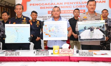 Upaya Penyelundupan Ribuan Benih Lobster di Kepri Berhasil Digagalkan Tim Gabungan