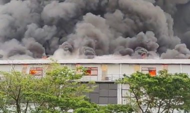 Viral Kebakaran Landa Pabrik Mainan Kayu di Kawasan Industri Kendal, Karyawan Panik Selamatkan Diri