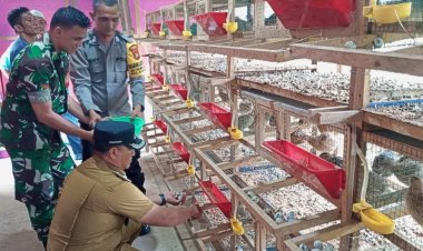 Bripka Doni Firmansyah Wujudkan Ketahanan Pangan Peternakan Burung Puyuh