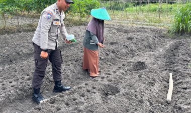 BRIPTU Ahmad Nurhidayat Giatkan Ketahanan Pangan Lewat Kebun Sayur Kangkung