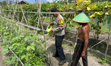 Briptu Febi Eka Julian Sahputra Gerakan Ketahanan Pangan Perkebunan Terong