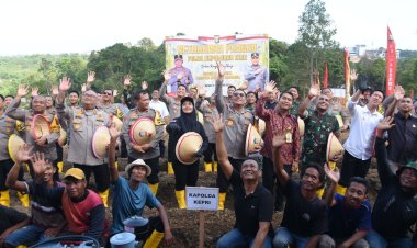 Polda Kepri Ambil Langkah Nyata: Penanaman Jagung untuk Dukung Ketahanan Pangan Nasional