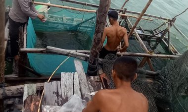 Brigadir Ardiansyah Nasution Panen Ikan Karang Budidaya Keramba Air Laut