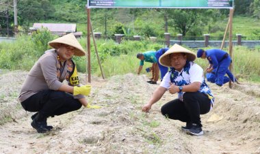 AKBP Apri Fajar Hermanto, S.I.K Launching Penanaman 3000 Benih Jagung Ketahanan Pangan Polres Lingga