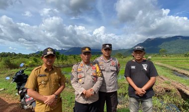 AKP Mayson Safri Melaksanakan Pendampingan Pembajakan Sawah di Lahan Poktan Tunas Jaya II