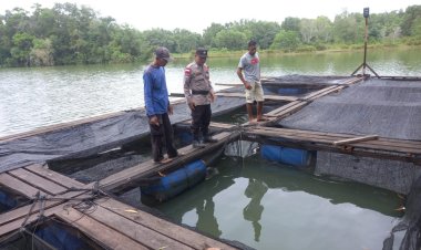 BRIPKA DJ. Manurung, Bhabinkamtibmas Desa Pongkar, Polsek Tebing Karimun, Dukung Program Ketahanan Pangan Nasional