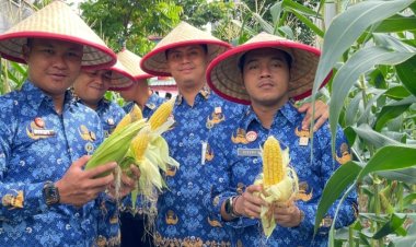 Rutan Batam Panen Jagung 250 Kg: Dukung Program Ketahanan Pangan Nasional