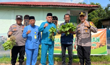 Polsek Bulang Sukses Panen Sayuran, Dukung Program Ketahanan Pangan Nasional