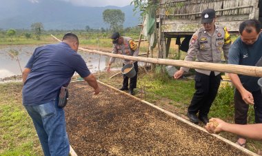 AKP Mayson Safri Lakukan Pendampingan Kepada Poktan Tunas Jaya II Untuk Penyemaian Bibit Padi Impari 32