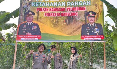 Polsek KKP Batam Panen Raya di Kebun Ketahanan Pangan, Wujudkan Swasembada Pangan