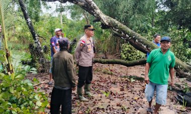 Polisi Bantu Evakuasi Pohon Tumbang Timpa Rumah Warga