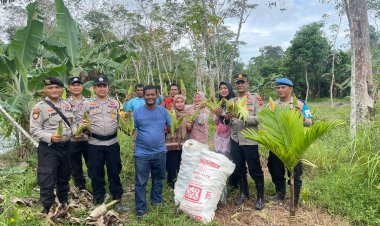 Polsek Singkep Barat Gelar Panen Perdana Jagung Varietas Paragon di Desa Sungai Raya