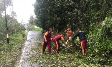 KOMPOL Andi Sutrisno Terjun Langsung Pimpin Evakuasi Pohon Tumbang di Jalan Raya