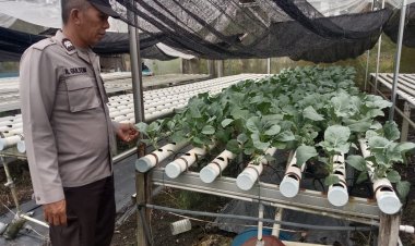 Polsek Tebing Dukung Program Ketahanan Pangan Nasional di Kelurahan Harjosari