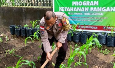 Program Ketahanan Pangan, Polsek Sekupang Sulap Lahan Kosong Jadi Produktif