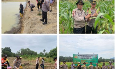 Kabag SDM Polres Karimun, Kapolsek Meral, dan Penyuluh Pertanian Hadiri Panen dan Penanaman di Lokasi Ketahanan Pangan