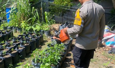 Polsek Batu Ampar Dukung Ketahanan Pangan, Dampingi Kelompok Wanita Tani di Batu Merah