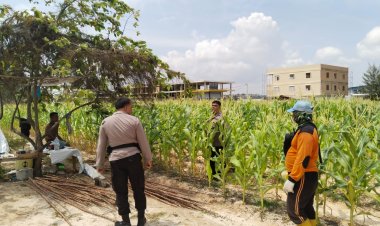 Polsek Bengkong Wujudkan Ketahanan Pangan Lewat Pemanfaatan Lahan Tidur, Dukung Program Swasembada Pangan Nasional