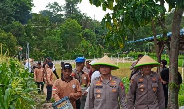 Polresta Barelang Gelar Panen Raya Jagung Serentak, Dukung Ketahanan Pangan Nasional