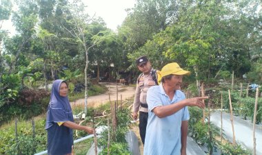 Polsek Sungai Beduk Wujudkan Ketahanan Pangan dengan Pemanfaatan Lahan Tidur Jadi Ladang Produktif